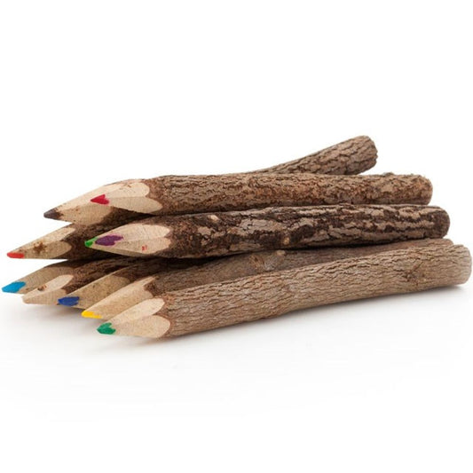 Stationery: Set of 10 Twig Pencils